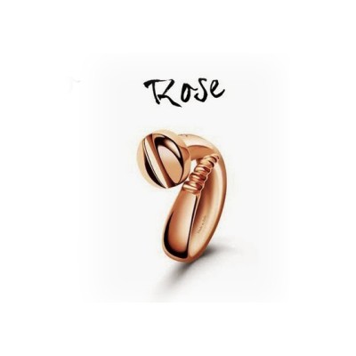 Anello unisex Vis d'Amour...
