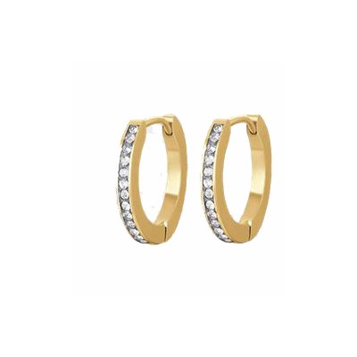 Orecchini acciaio Luca...