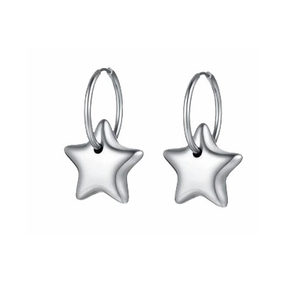 Orecchini acciaio Luca...