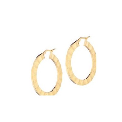 Orecchini argento cerchio...