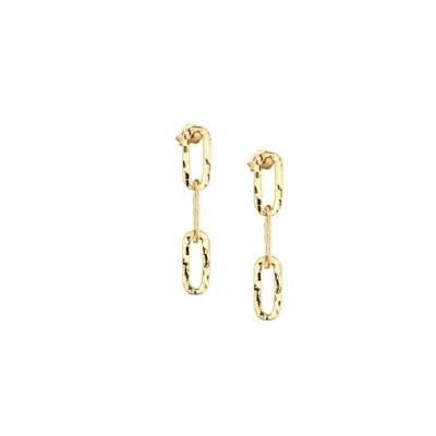 Orecchini argento dorato -...