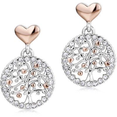 Orecchini donna acciaio...