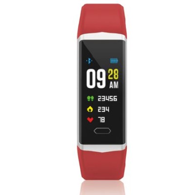 Orologio Smartwatch David...