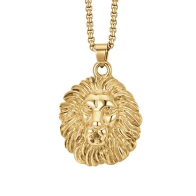 Collana uomo acciaio ip...