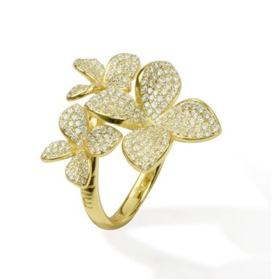 Anello donna argento...