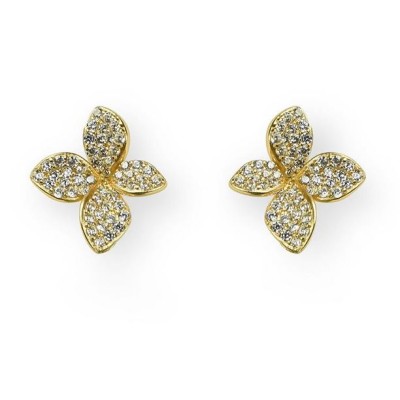 Orecchini argento placcato...