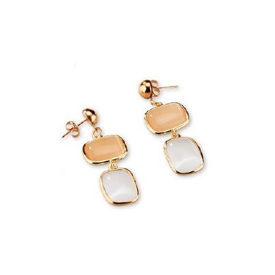 Orecchini acciaio e bronzo...