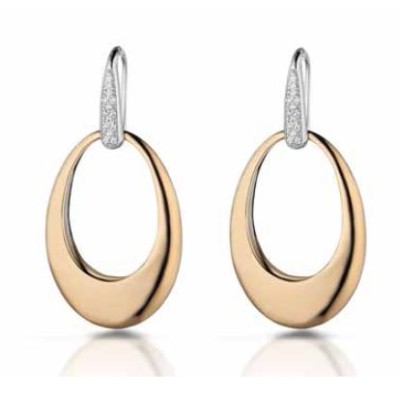 Orecchini argento...