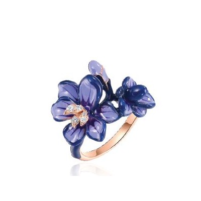 Anello argento e smalto...