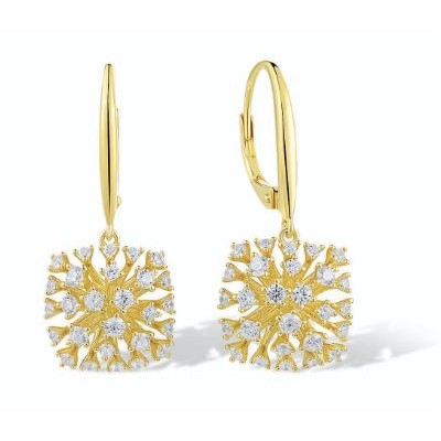 Orecchini argento dorato...