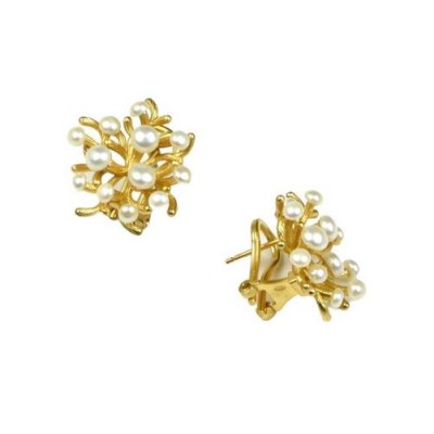 Orecchini argento placcato...