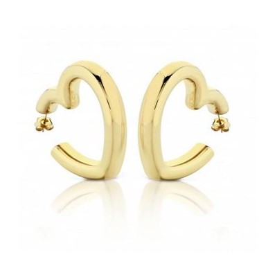 Orecchini argento dorato...