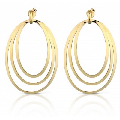 Orecchini argento dorato...